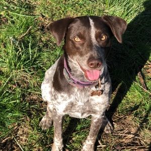 EVERYTHING HAS TO GO